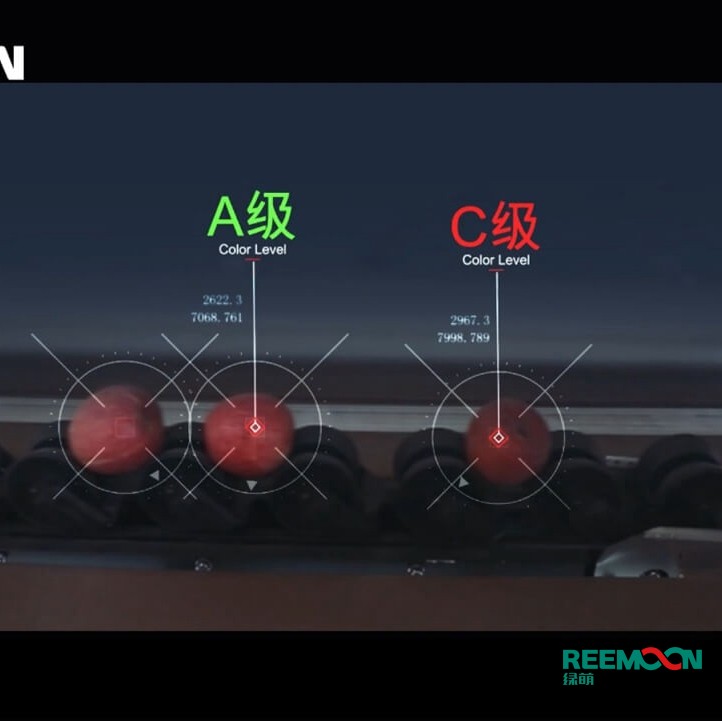 綠萌水果分選機多少錢？江西綠萌科技控股有限公司廠家直銷報價
