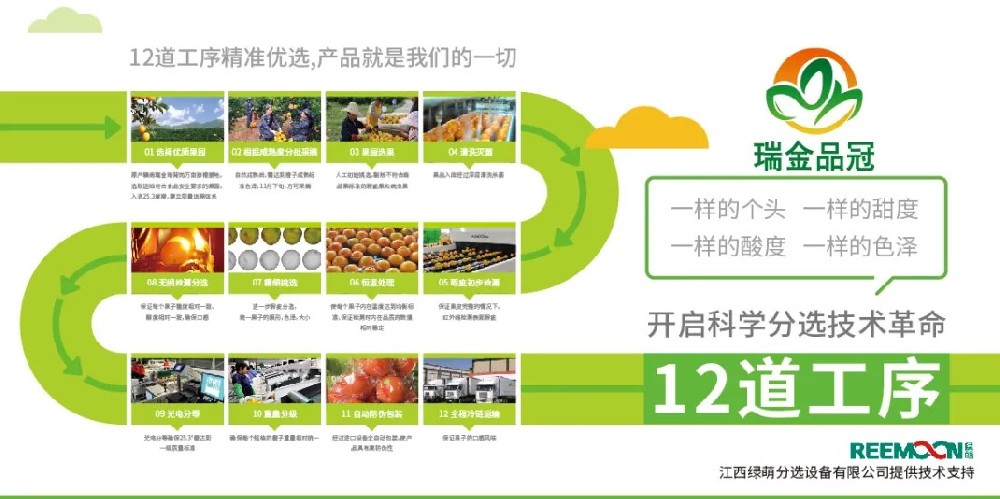 綠萌分選 讓您的水果好吃看得見 2020年11月27日，由瑞金市品冠農業(yè)發(fā)展有限公司承辦的2020紅都品冠贛南臍橙以“綠水青山、紅色傳橙”為主題的推介會在沈陽舉行。瑞金品冠圍繞“紅色傳橙、綠色情懷、生態(tài)共建、品牌強農”的理念，堅持要把優(yōu)質贛南臍橙推介給東北人民，為此，瑞金品冠挑選優(yōu)質臍橙果園基地