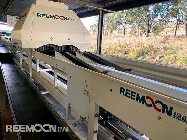 預分選設施和最先進的分揀機的引入幫助澳大利亞昆士蘭柑橘種植者實現了更大規模的產品包裝，并緩解了勞動力短缺的一些影響。位于昆士蘭北部Gayndah的Dermark Pty Ltd（Turnbury Orchard）公司表示，新設施和機器已于 2 月完工，正好趕上今年的產季?？偨浝?Sandy McLay在安裝中介紹了來自領先的國際公司綠萌（Reemoon）的新