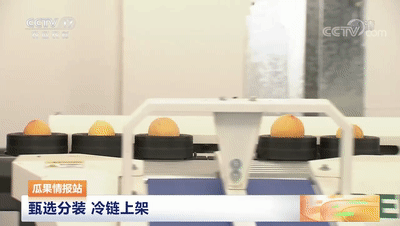 連線采訪＋現(xiàn)場直播7月20日CCTV農(nóng)業(yè)農(nóng)村頻道、央視頻APP深度報道湖北老河口黃桃產(chǎn)業(yè)發(fā)展情況綠萌作為果蔬智能科技分選企業(yè)憑借AI（人工智能）算法以及光譜技術(shù)為老河口黃桃產(chǎn)業(yè)賦能而亮相央視在此之前綠萌因?yàn)橹袊卟珊髽?biāo)準(zhǔn)建設(shè)賦能已經(jīng)多次亮相于央視黃桃作為老河口的“富農(nóng)果”，身肩重任。全市3.5萬畝黃桃如何打造價格