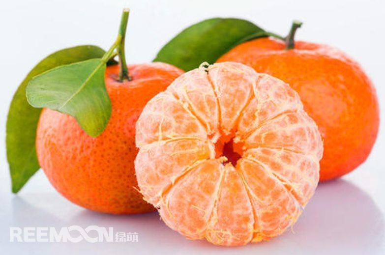 近幾年，砂糖橘逐漸跌落“神壇”，價(jià)格急速下滑。產(chǎn)能過剩、集中上市、競(jìng)爭(zhēng)增大......不少問題圍繞著砂糖橘產(chǎn)業(yè)的發(fā)展。難道真的就要走向末路了嗎？砂糖橘口感清甜似砂糖，入口即化，富含維生素、葡萄糖、胡蘿卜素等多種營(yíng)養(yǎng)元素，且市場(chǎng)歡迎度高、老少皆宜，擁有廣闊的市場(chǎng)空間。近年來砂糖橘價(jià)格一路低走，產(chǎn)業(yè)模式的問題
